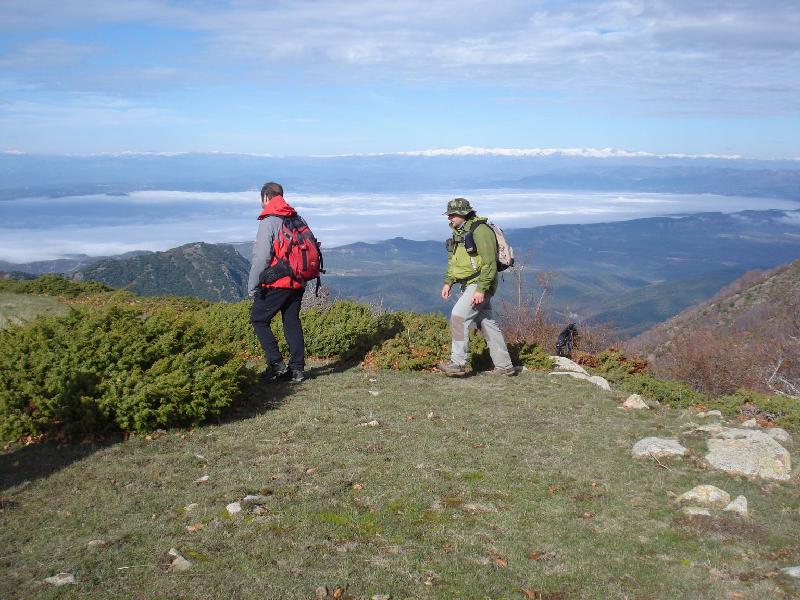Pel Turo de Collsaprunera
