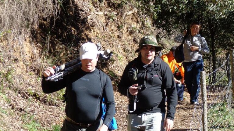 Cami del Castell de Montsoriu