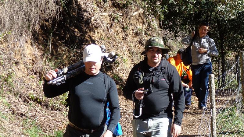 Cami del Castell de Montsoriu