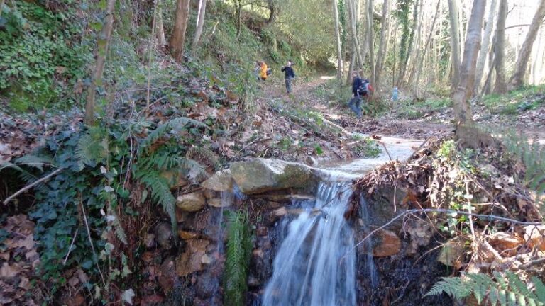 Cami del Castell de Montsoriu