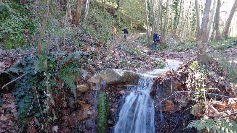 Cami del Castell de Montsoriu