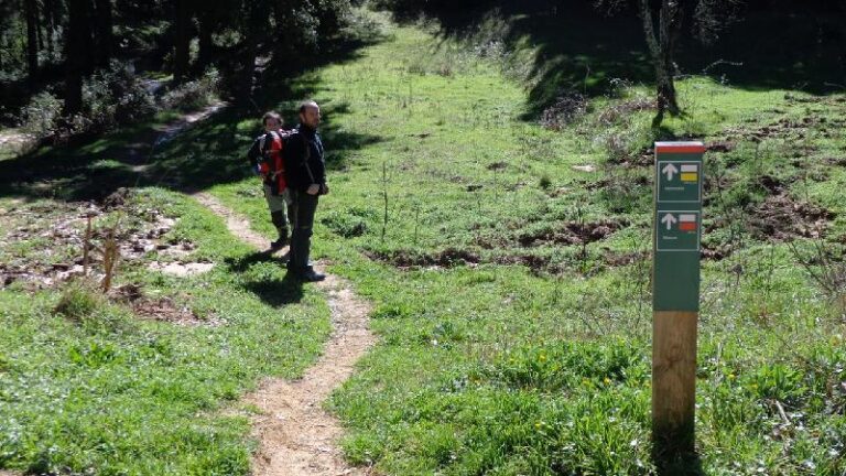 Cami del Castell de Montsoriu