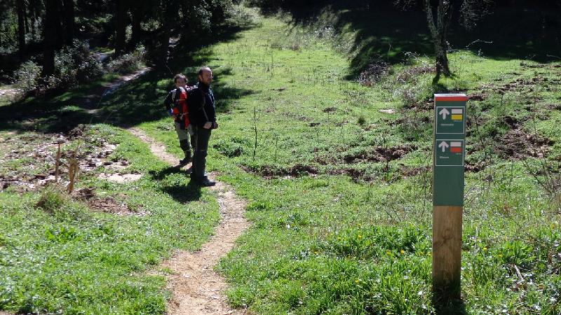 Cami del Castell de Montsoriu