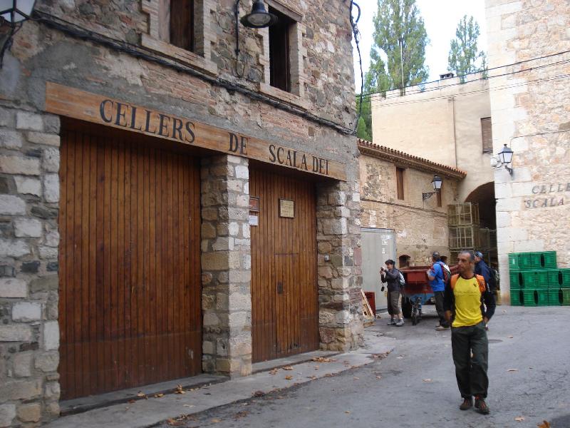 Cellers d'Scala Dei