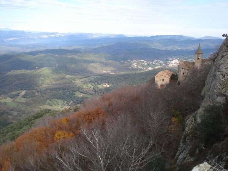 Colors de tardor a Sant Segimon