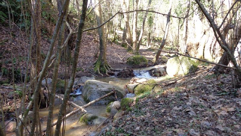 Cami del Castell de Montsoriu