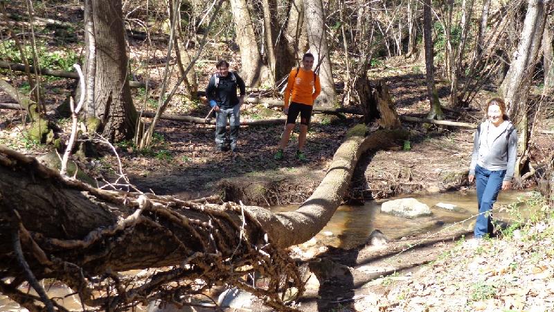 Cami del Castell de Montsoriu