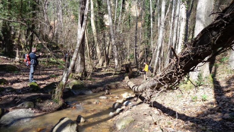 Cami del Castell de Montsoriu