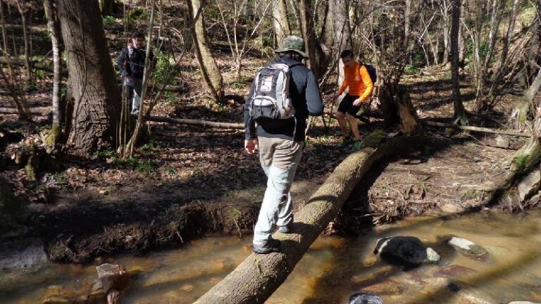 Cami del Castell de Montsoriu