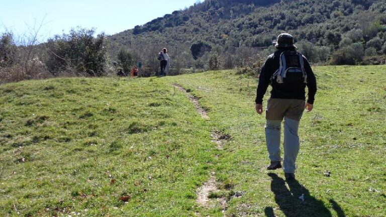 Cami del Castell de Montsoriu