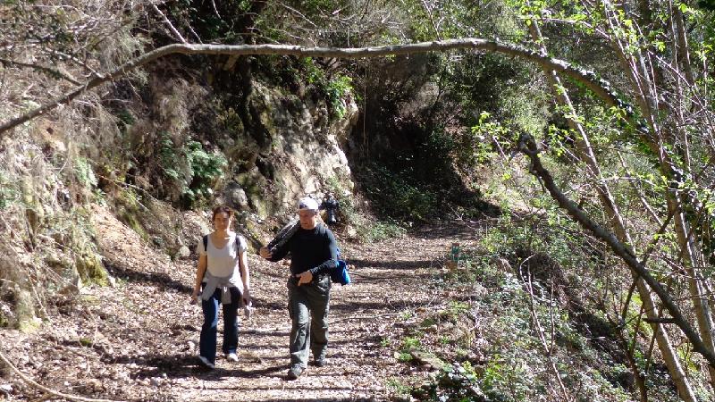 Cami del Castell de Montsoriu