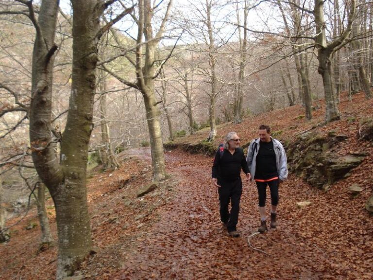 Prop el Pla de la Terma