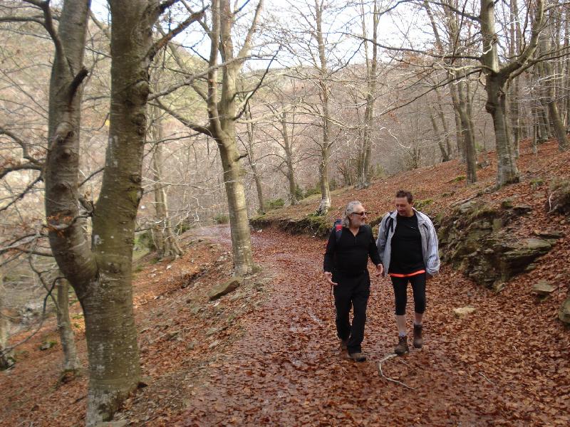 Prop el Pla de la Terma