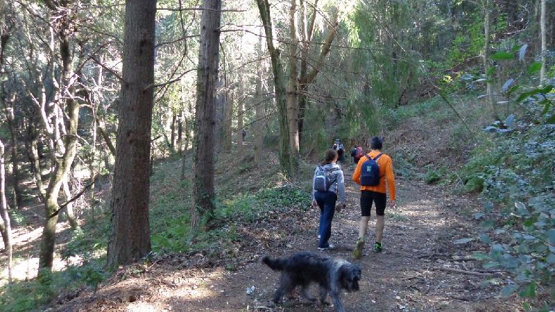 Cami del Castell de Montsoriu