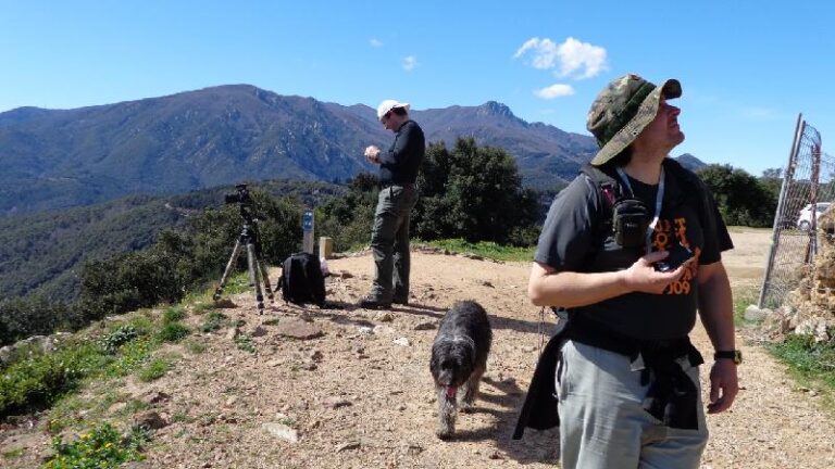 Castell de Montsoriu
