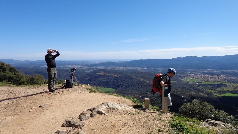 Castell de Montsoriu