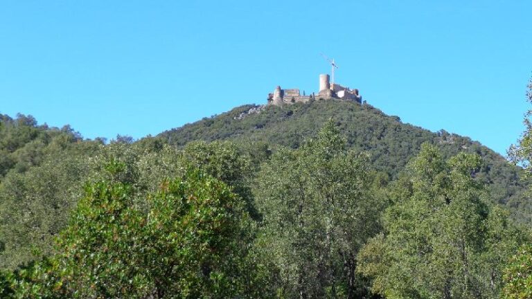 Castell de Montsoriu