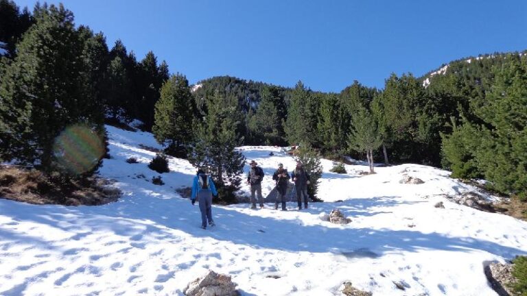 cami de la gallina pelada