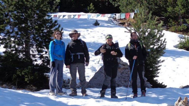 cami de la gallina pelada