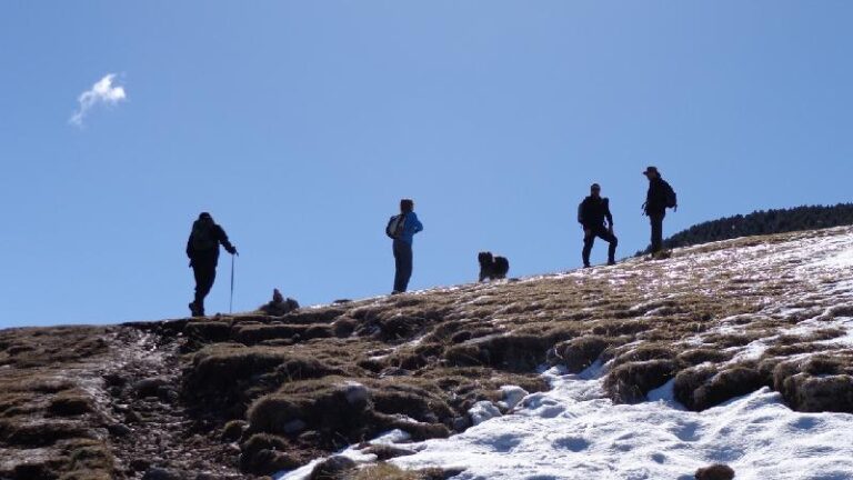 cami de la gallina pelada