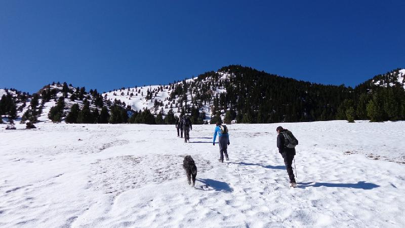 cami de la gallina pelada