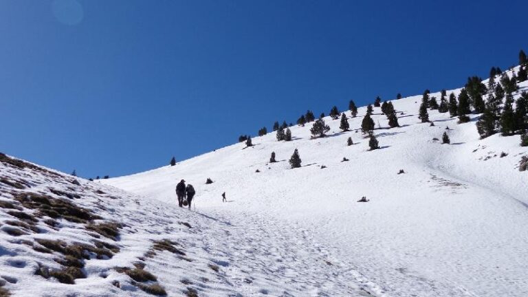 cami de la gallina pelada