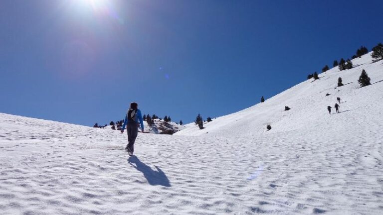 cami de la gallina pelada