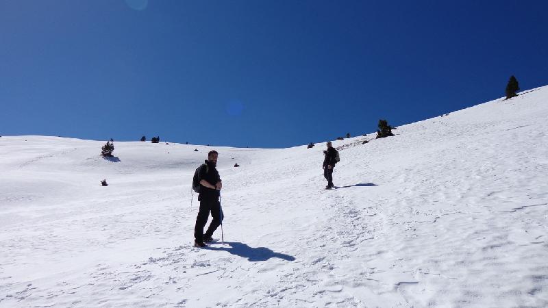 cami de la gallina pelada