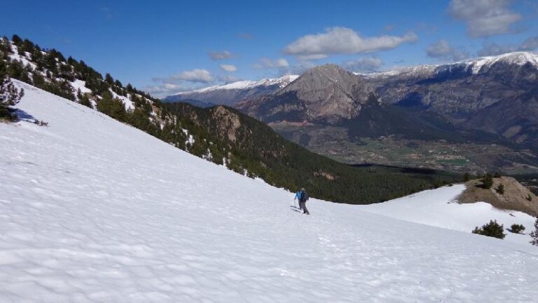 cami de la gallina pelada