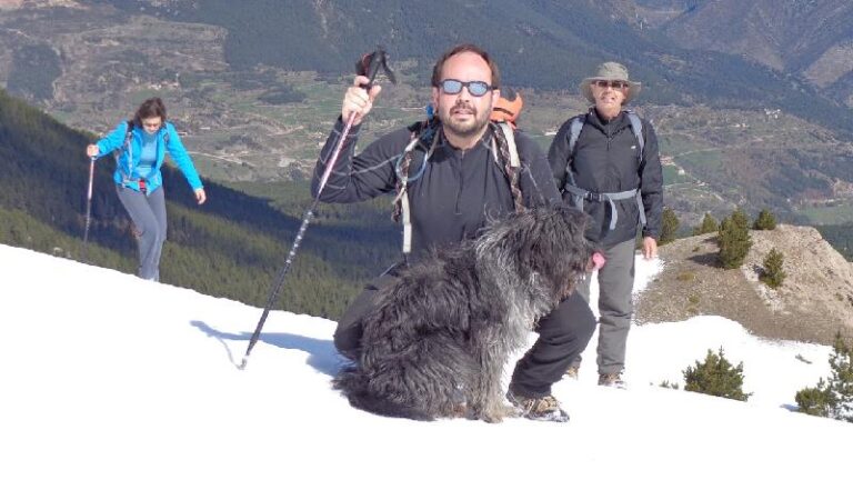 cami de la gallina pelada