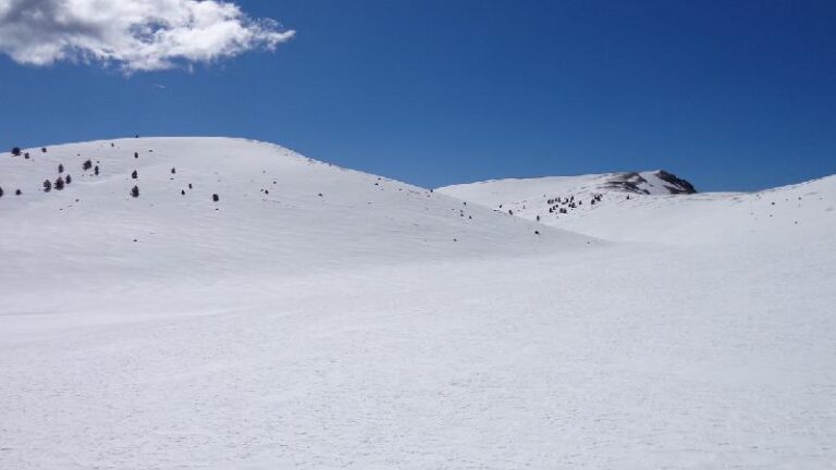 cami de la gallina pelada