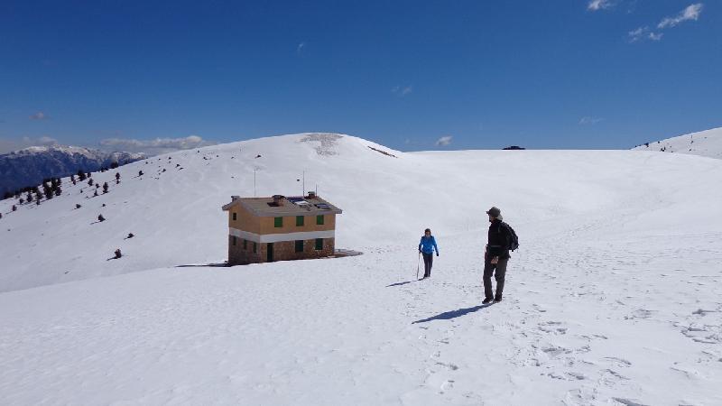 cami de la gallina pelada