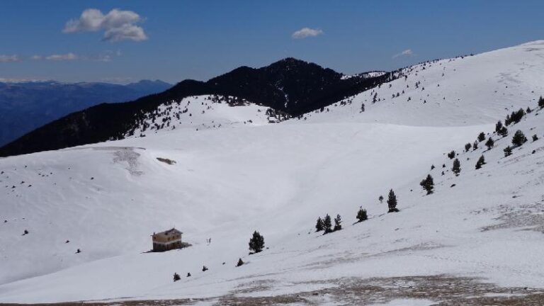 cami de la gallina pelada