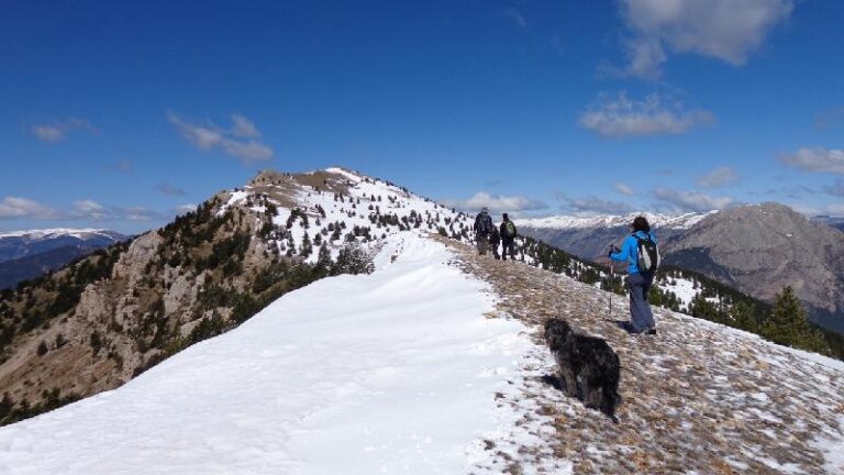 cami de la gallina pelada
