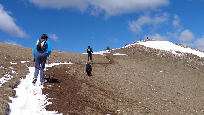cami de la gallina pelada