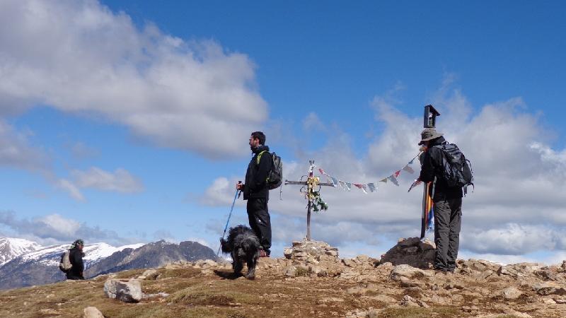 cim de la gallina pelada