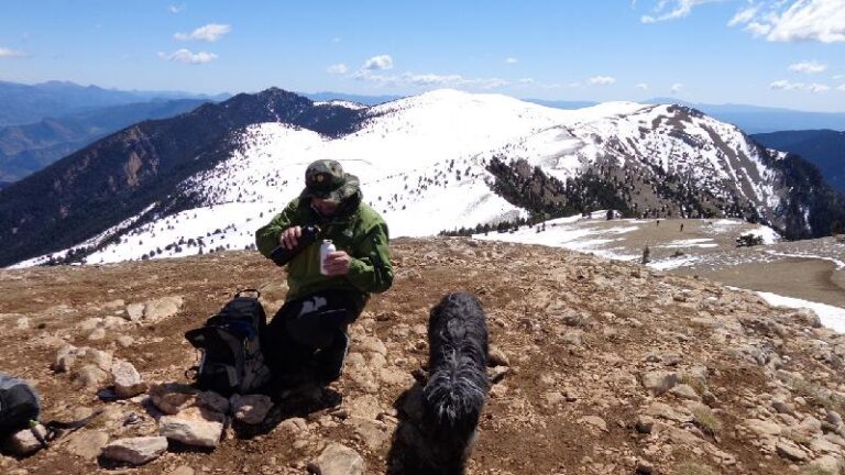 cim de la gallina pelada