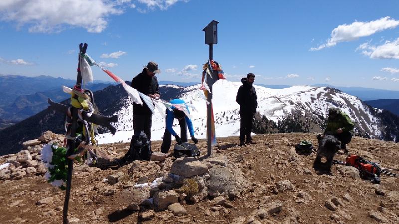 cim de la gallina pelada