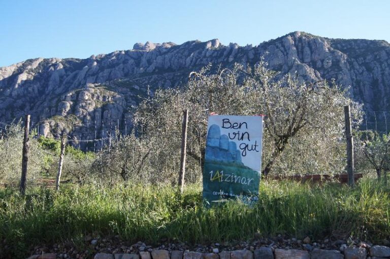 Pancarta de benvinguda