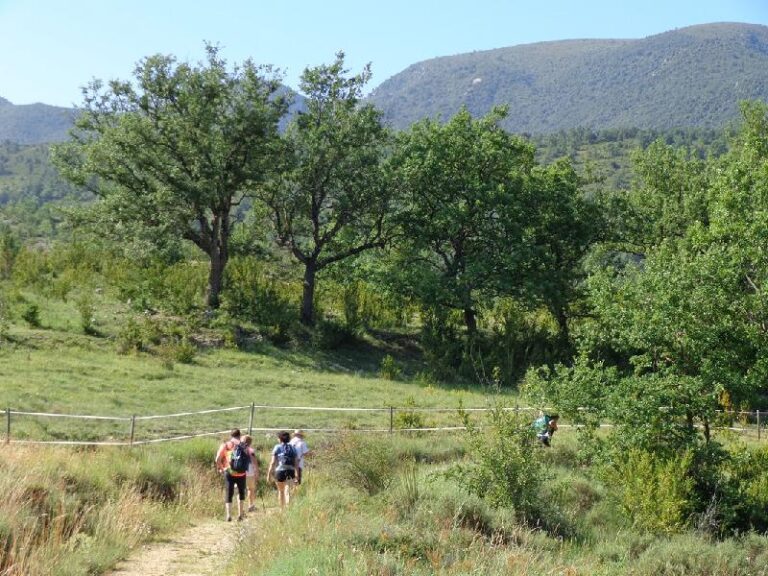 Congost de MontRebei