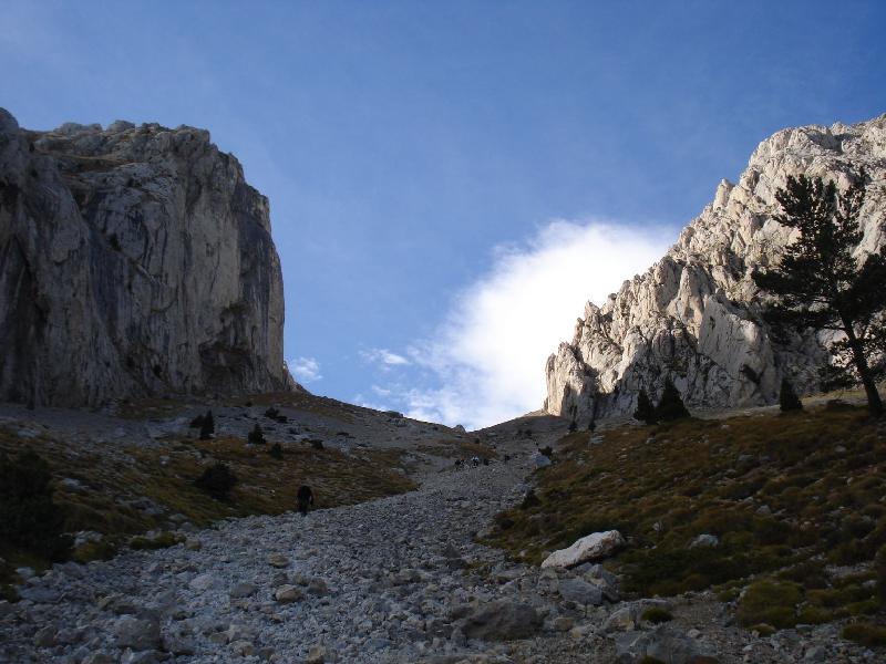 La tartera i els dos pollegons