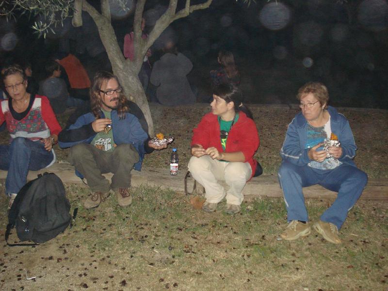 castanyes i mes castanyes