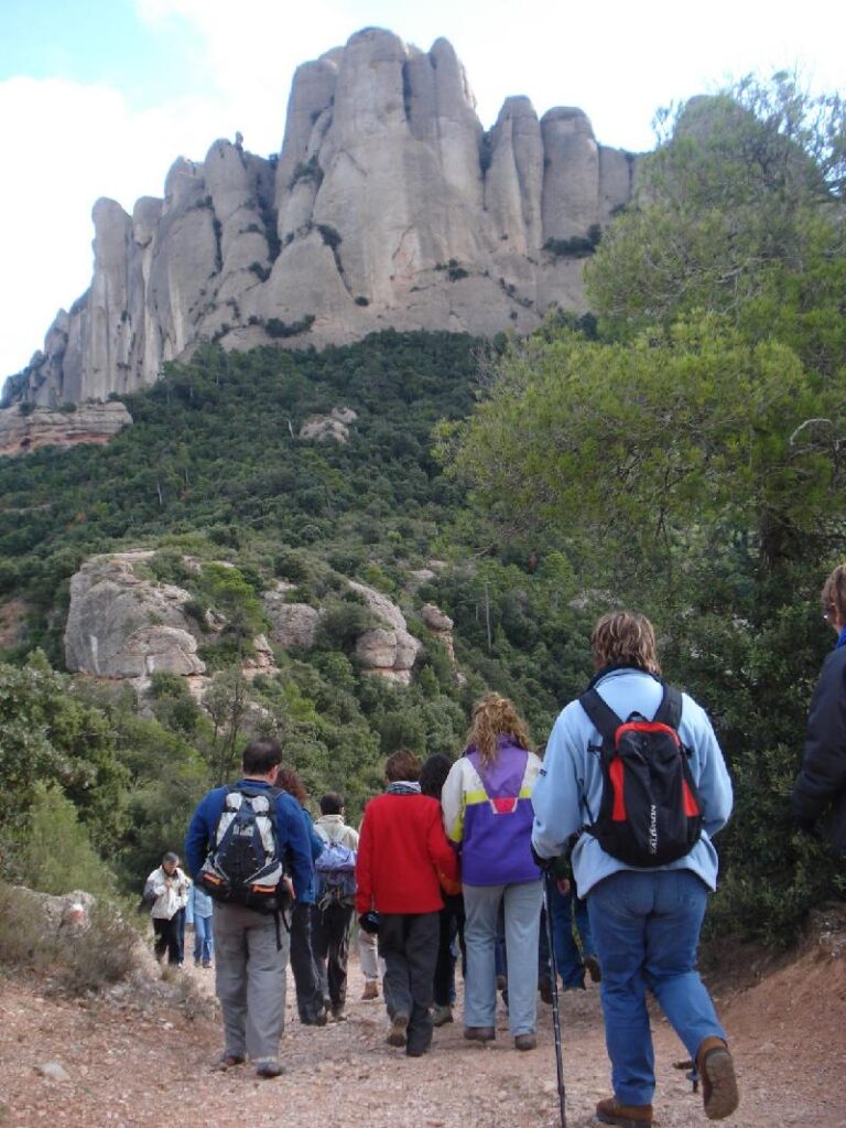 Cami de Les Agulles 2