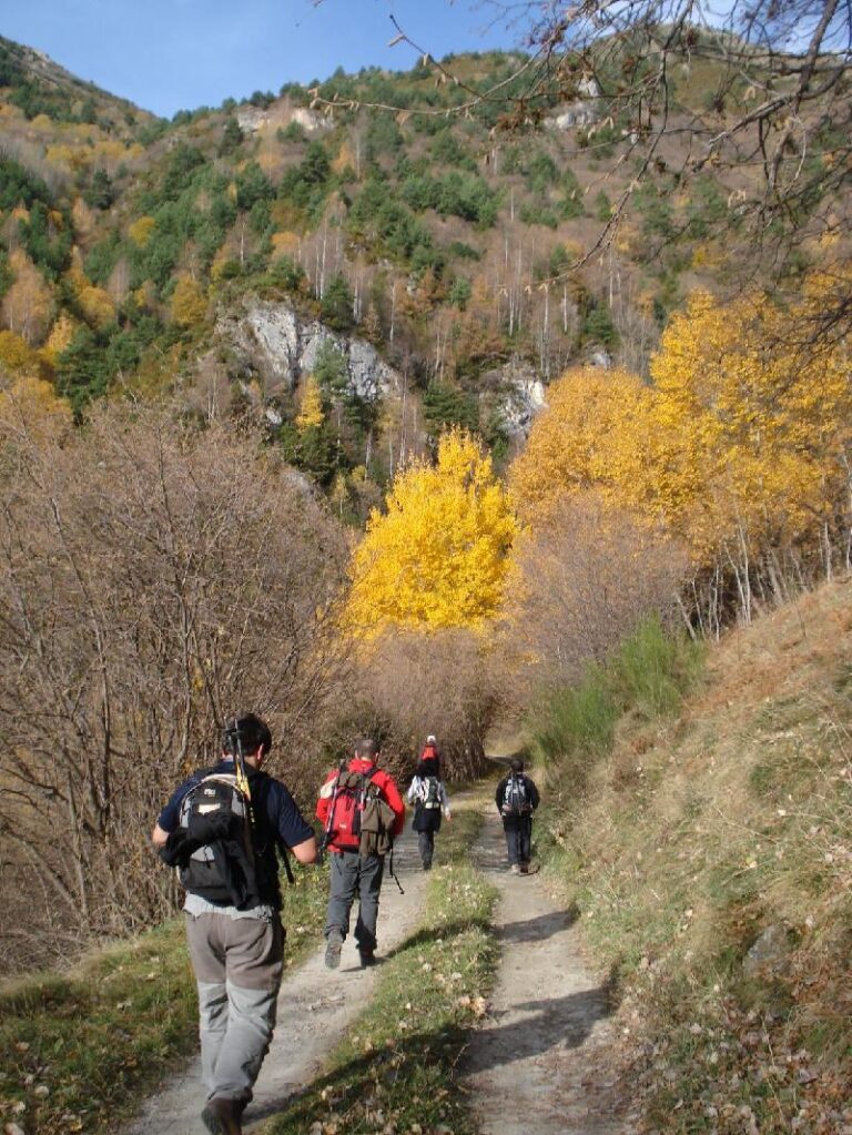 Els colors de la tardor