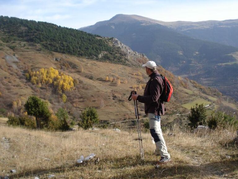 Observant els colors del bosc