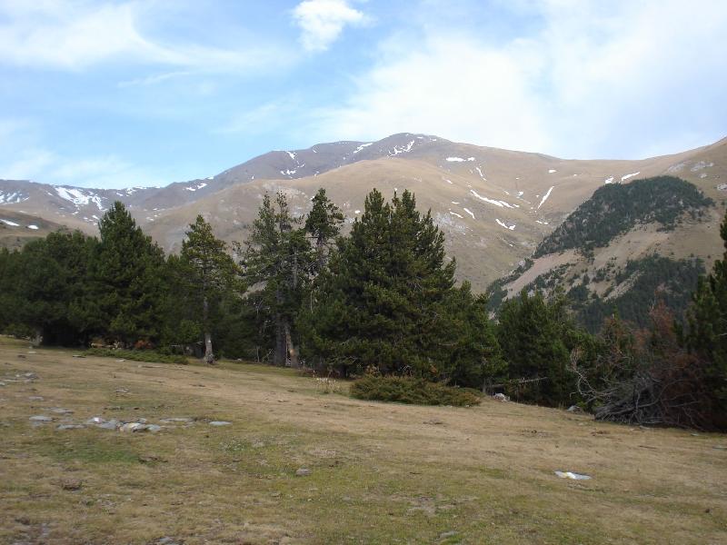 Pla de Les Barraques i Puigmal