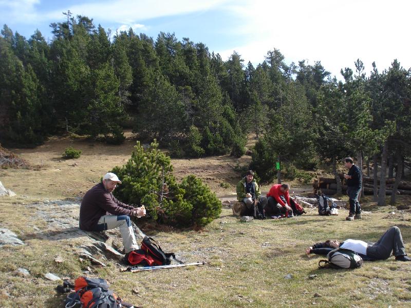Fent un mos al Collet de les Baraques