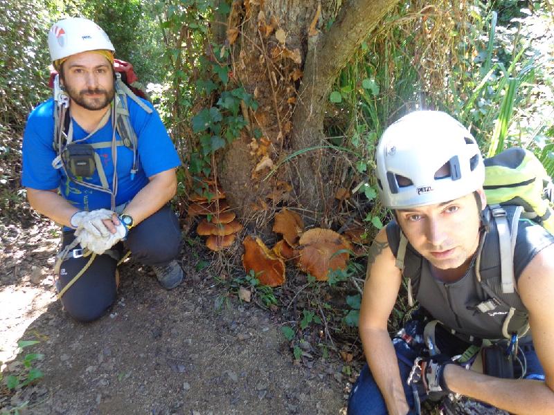 ferrata gorgues de salenys