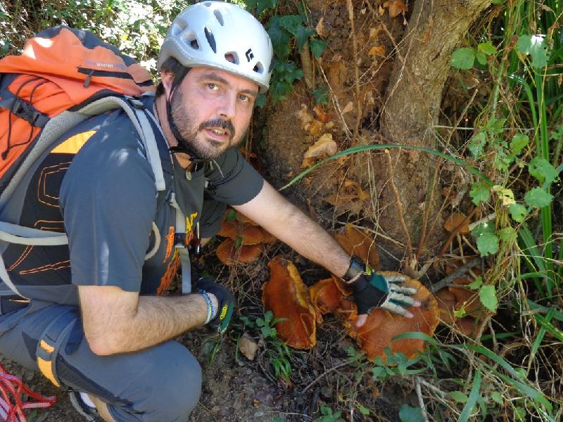 ferrata gorgues de salenys