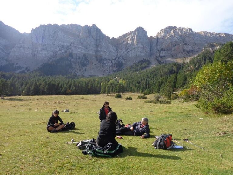 fent un mos al prat del cadi